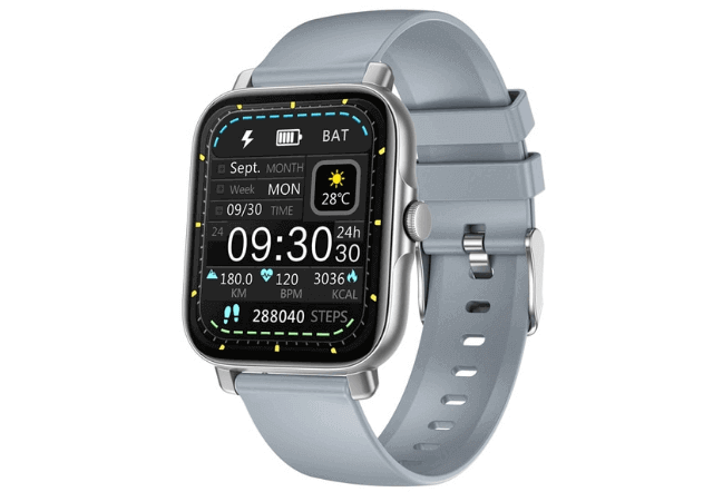 GT30 smartwatch features